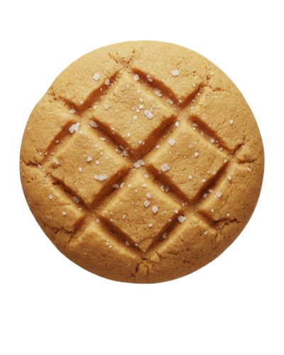 Peanut Butter Cookie